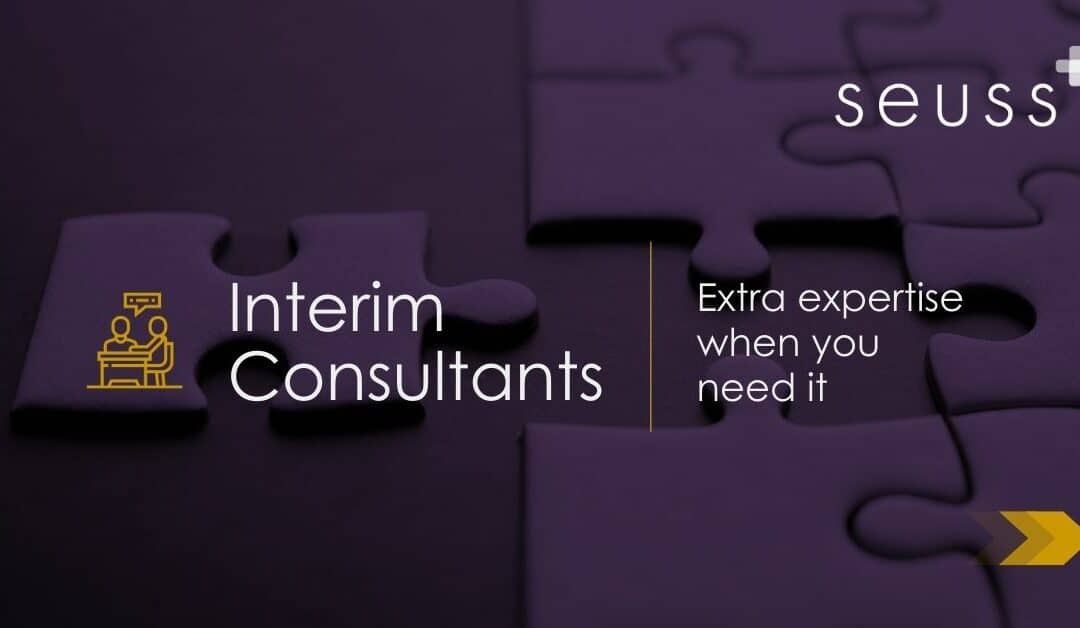 Interim Consultants