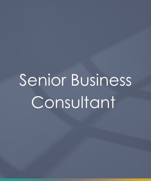 Business Consultant (4)